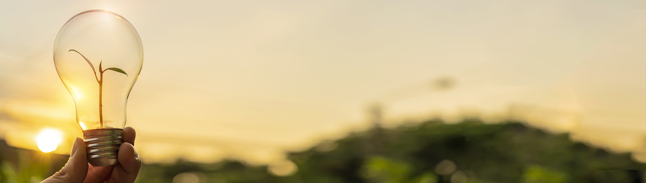 Plant in a light bulb, a landscape can be seen in the background.